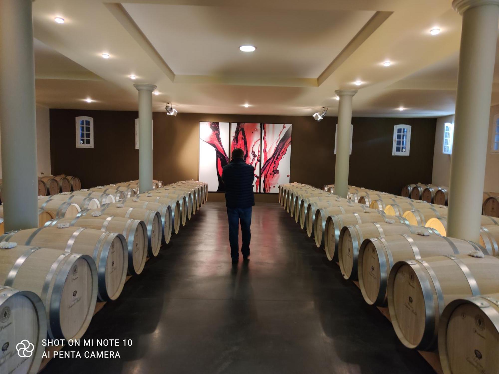 Domaine Des Pres De Joussac - Protocole Sanitaire Strict Villa Jau-Dignac-et-Loirac Luaran gambar